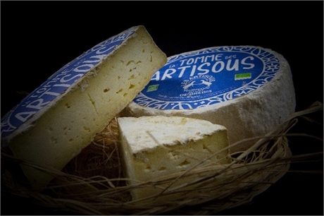 La tomme des Artisous